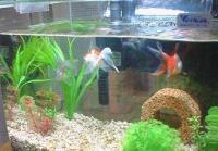 20090609150543db3s.jpg